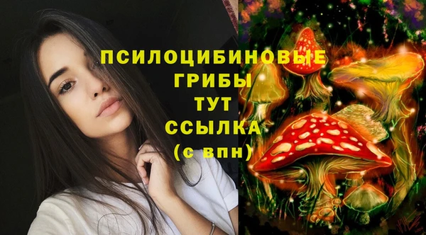 ГАЛЛЮЦИНОГЕННЫЕ ГРИБЫ Белоозёрский